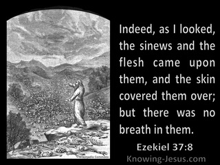 Ezekiel 37:8 As I Looked The Sinues And Flesh Came And The Skin Covered Them But There Was No Breath In Them (black)
